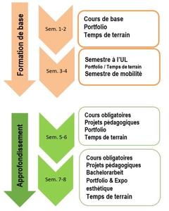 Programme structure of Bachelor of Science in Education (in french)