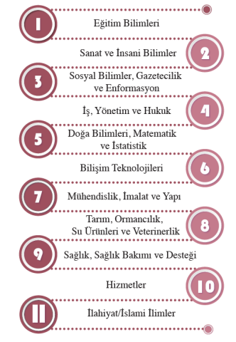 Şekil 12: Lisans Programlarına İlişkin Genel Alanlar Şekil 12: Lisans Programlarına İlişkin Genel Alanlar