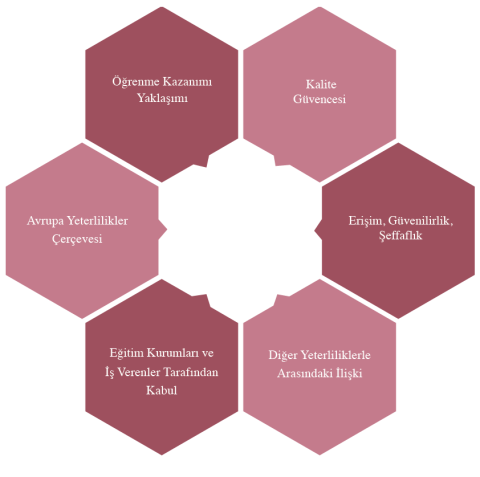Şekil 18: Yeterlilik Alanları