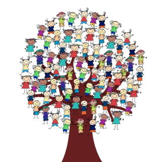 inclusion inclusion