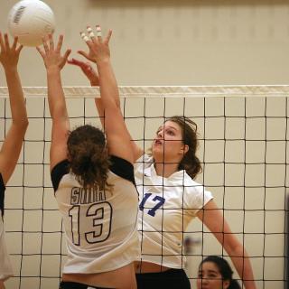 volley players volley players
