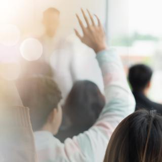 pupils raising their hands in class