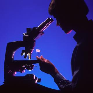 scientist using microscope