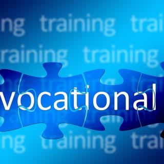 words 'vocational' and 'training' in the image 